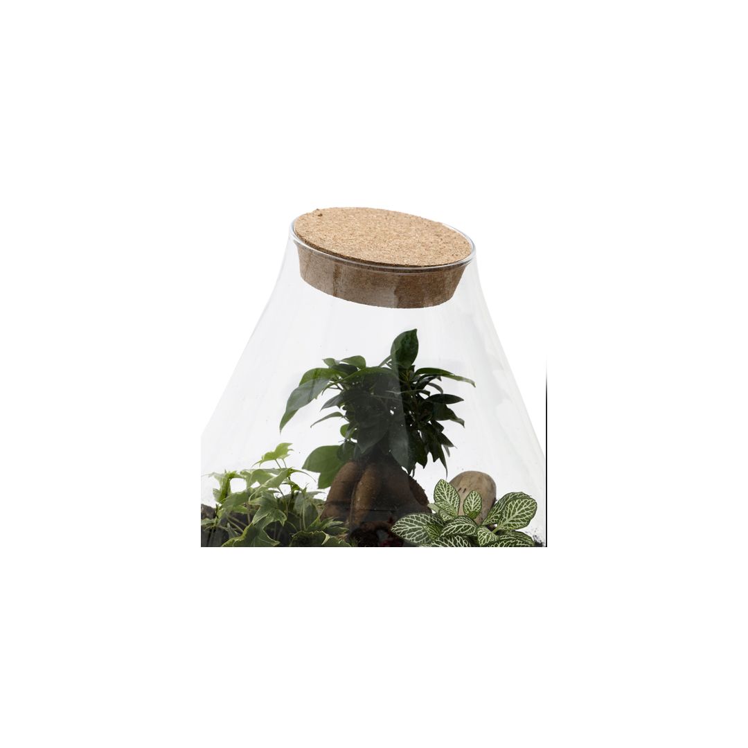 Terrarium autonome Pagoda medium • Nature & Découvertes Suisse