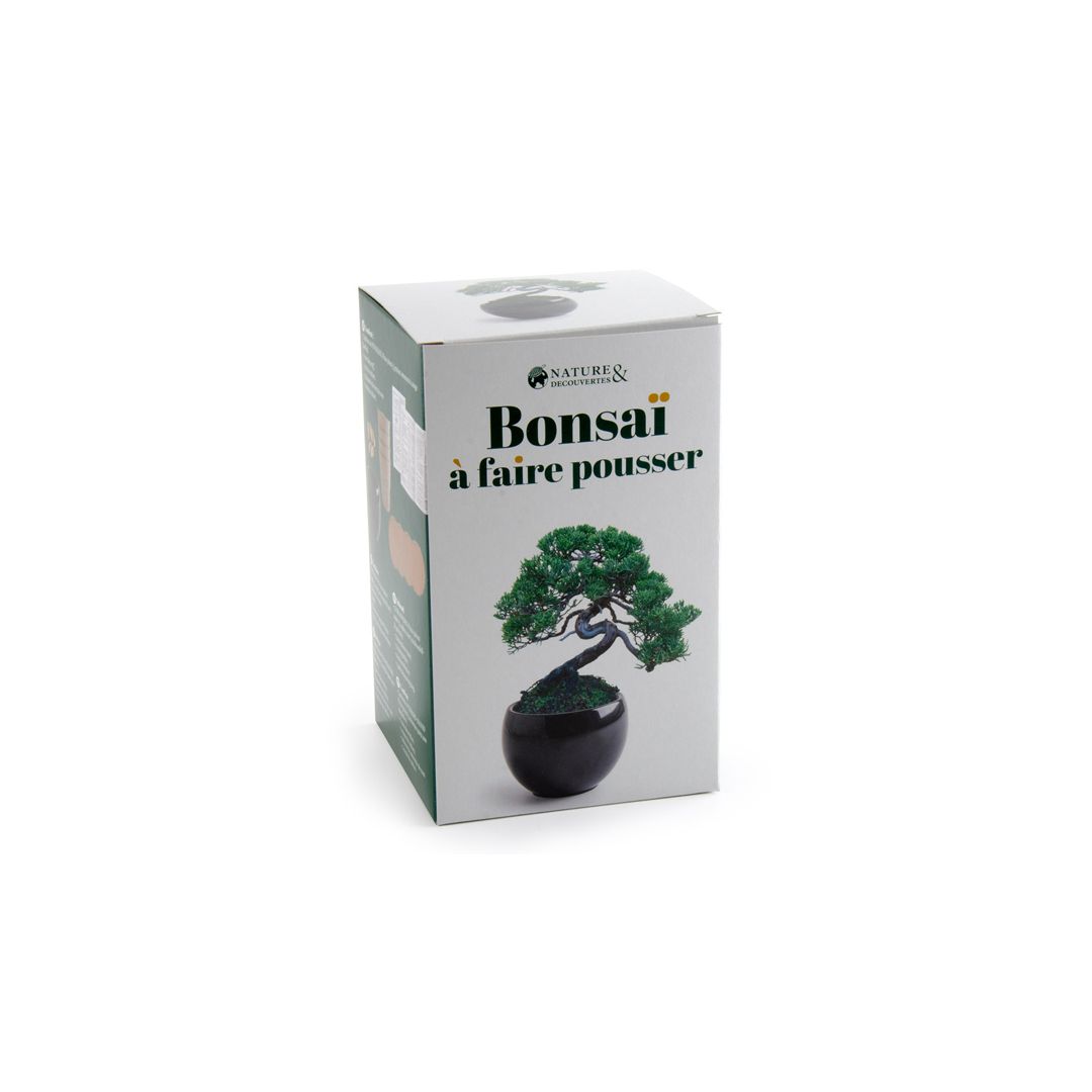Kit bonsaï à faire pousser • Nature & Découvertes Suisse