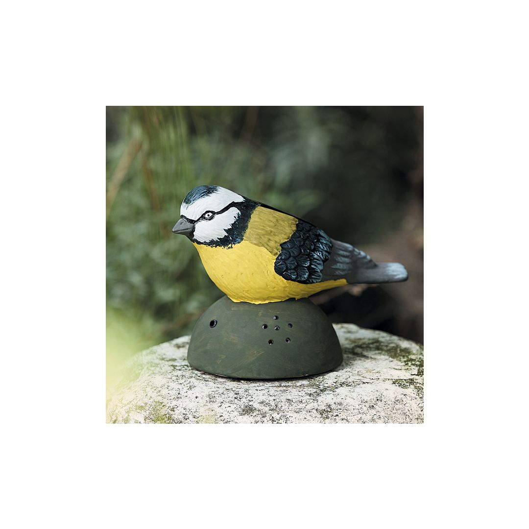 Rockible – Oiseau Chantant Sur Branche, Piles AA, Activé Par Le Son, Déco De Bureau
