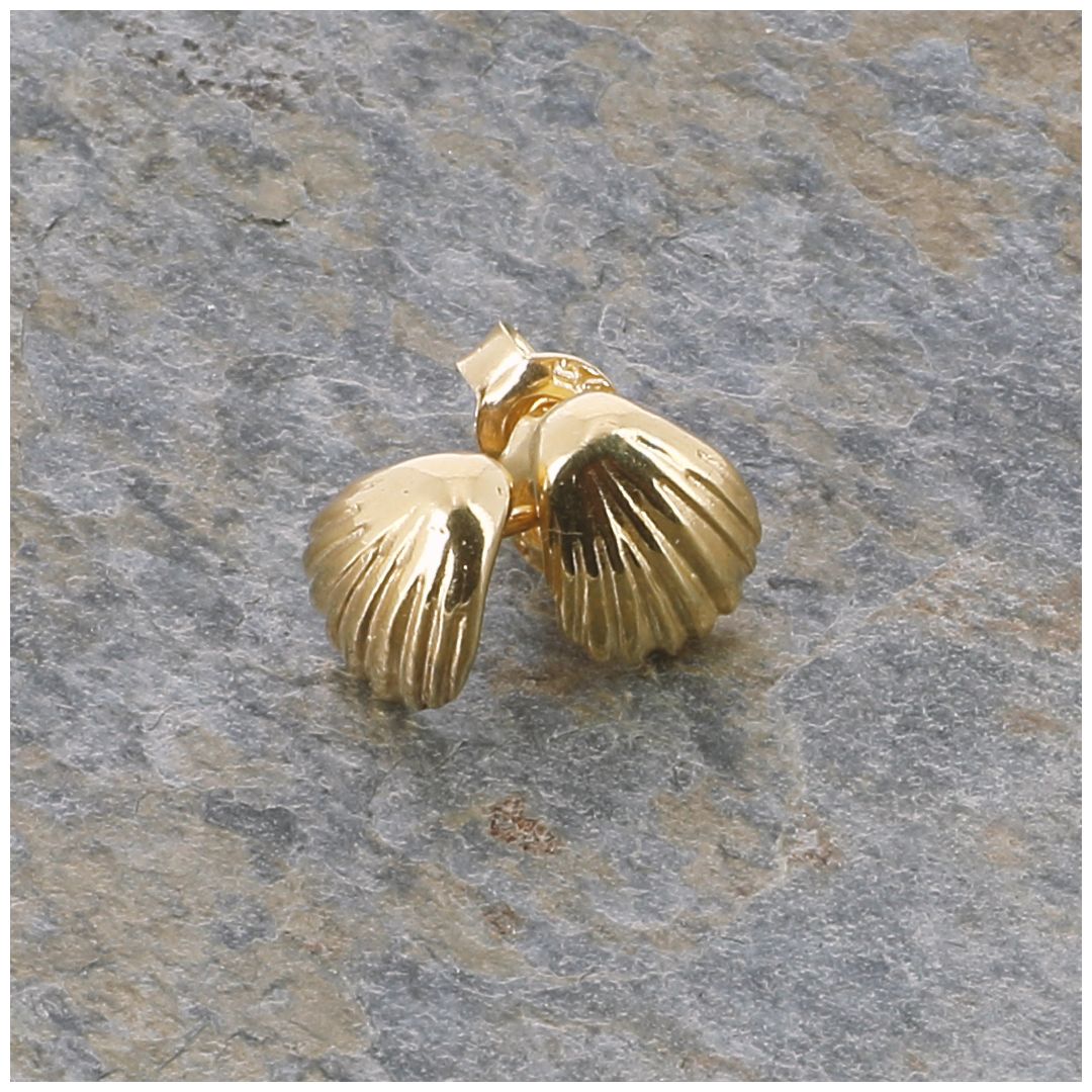 Créoles Coquillage Doré – Boucles D'oreilles Petites – Doré – Neuf